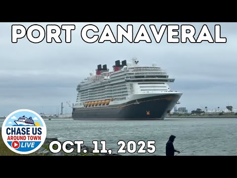 Wild Weather, Magical Horns: Disney Treasure at Port Canaveral!