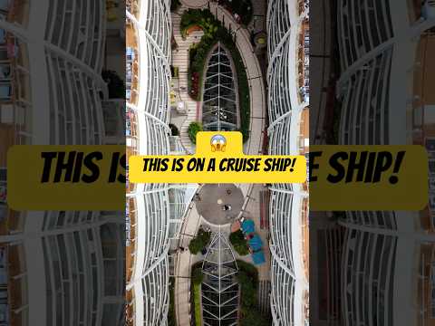 I can’t believe this is on a cruise ship! 😱